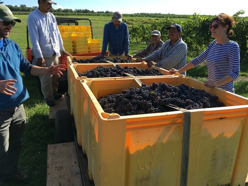 Andy and Crew Shady lane Cellars