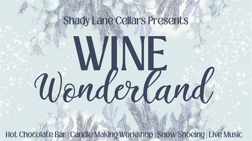 Blue And White Watercolor Winter Party Poster (Zoom Virtual Background ) (12)